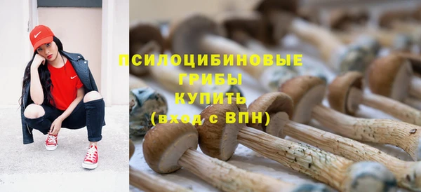 скорость Арсеньев