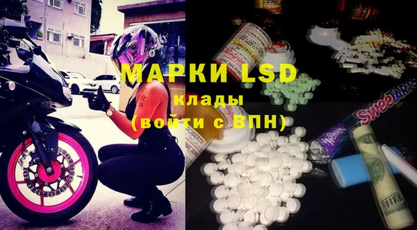 MESCALINE Аркадак