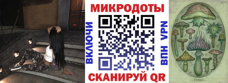 Псилоцибиновые грибы прущие грибы  Пустошка 