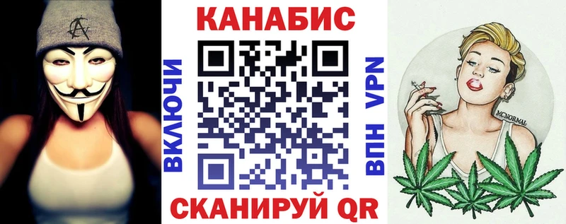 Шишки марихуана сатива площадка формула Пустошка дарнет шоп